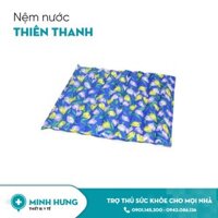Nệm nước mát Thiên Thanh (Nhỏ)