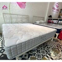 Nệm Sông Hồng Back Essential dòng 2 tấm cao cấp