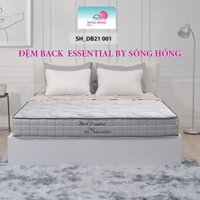 Nệm Sông Hồng Back Essential Dòng 2 Mảnh Khách Sạn 5 Sao
