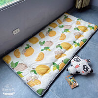 Nệm Topper văn phòng 2 Mặt Có Khóa Kéo, Kích Thước 90*190