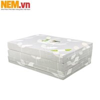 NỆM VẠN THÀNH, NỆM CAO SU GẤP 3 VẠN THÀNH