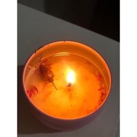 NẾN ĐẬU NÀNH HOA KHÔ { COMBO  4 HOP} Nến trang trí Decor phong thủy{C