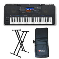 Nên Mua Đàn Piano Hay Đàn Organ?