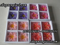 Nến nổi thả nước ”hoa ly” / 4 cái