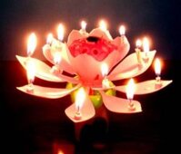 Nến pháo hoa phát nhạc