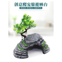 Nền tảng phơi rùa sáng tạo nền tảng leo núi nền tảng phơi nắng đảo nổi nền tảng leo núi Bể rùa leo