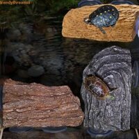 Nền tảng sấy rùa DADIGOL, Mô phỏng vỏ cây Nền tảng nền tảng rùa đá, Cốc hút nhựa đảo nổi rùa Nền tảng leo núi cho bể cá