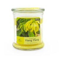 Nến thơm hũ Miss Candle FTRAMART NQM3414 230g Chọn hương - Ylang Ylang Hương ngọc lan tây