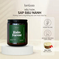 Nến thơm Lumi.aura lành tính sáp đậu nành Rain Forest hương rừng thông Đà Lạt