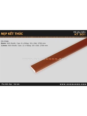 Nẹp Nhựa Kết thúc KT301