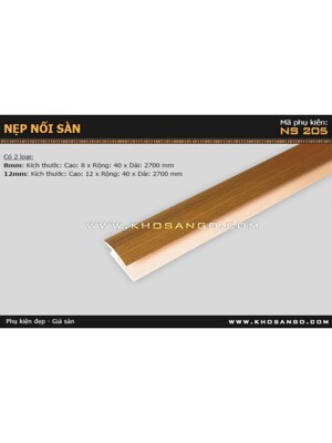 Nẹp nối sàn NS205