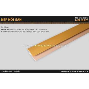 Nẹp nối sàn NS227