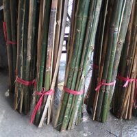 Nẹp tre trang trí tiểu cảnh💖💖💖💖💖💖