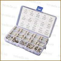 Nev ♕ 150 chiếc bộ ống thủy tinh Các loại ống thủy tinh nhỏ Cầu chì thủy tinh chậm Cầu chì mịn cho DIY Đảm bảo thiết bị mượt mà Opera