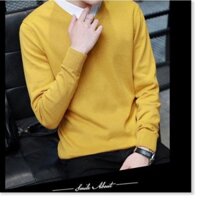 New Hàng Chuẩn- Áo Len Nam Cổ Tim Đẹp [ Ảnh Thật ] -A12d 2021 ' new