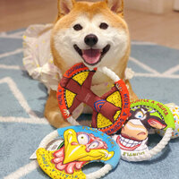 New Product#[98%Positive Rate]Dog Toy Durable Chew Rope Pet Corgi Frisbee Sand Dune Cat Knot Shiba Inu Canvas Flying Disc Outdoor Dog Training Ring1mj