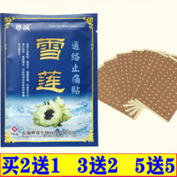 New Product#Snow Lotus Muscle Patch for Pain Relief, Wind-Cold Leg Joint Pain Relief Patch, Waist and Leg Pain Patch, Muscle Relaxation Patch for Neck and Shoulder Pain, Snow Lotus Plaster Patch1mj