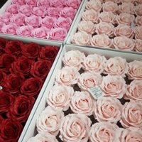 [NEW] Sỉ hoa hồng sáp hộp 25 bông 7 lớp và 5 lớp loại 1