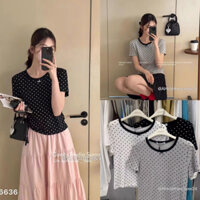 [NEW]Áo Thun Xốp Viền Cổ Chấm Bi mix Nơ kute Hàng Quảng Châu 6636