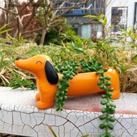 Newwellknowncool Dachshund Chậu hoa Nhựa Chậu trồng cây cho mọng nước - Trang trí ngoài trời trong nhà WWE