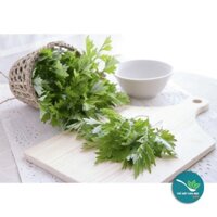 Ngải cứu sây khô 1KG - TM215