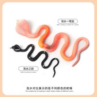 Ngâm Nước Mở Rộng Rắn TPR Động Vật Thực Tế Ngâm Nước Đồ Chơi Lớn Hơn Trẻ Em Giáo Dục Đồ Chơi Sáng Tạo #FZ112FZ#