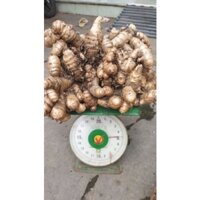 nghệ đen củ to tươi 1kg