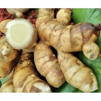 nghệ trắng rừng,1kg
