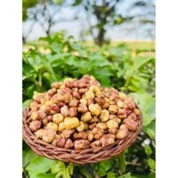 Ngô cay nếp tìm sấy giòn ( Vị xóc mắm cay) chuẩn ngô tím điện biên