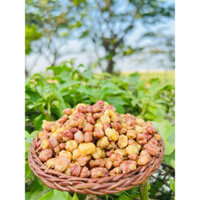 NGÔ CAY SẤY GIÒN TỪ NGÔ NẾP TÍM ĐIỆN BIÊN 🌶️🌶️