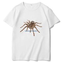 Ngộ nghĩnh Đồ Họa Áo Creepy Tarantula Nhện Kinh Dị Quá Khổ Tay Ngắn Top Mùa Hè Bông Tai Kẹp WoMen 's Quần Áo Tee
