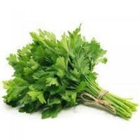 NGÒ TÂY LÁ THĂNG (100G)