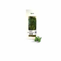 Ngò tây VietGAP DHF 30g: Hương vị thơm ngon, món ăn thêm phần hấp dẫn