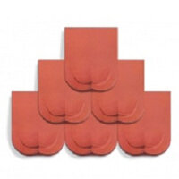 Ngói hài hai mũi Hạ Long Viglacera