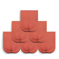 Ngói lợp nhà Hạ Long mũi hài kép