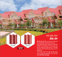 Ngói màu Đồng Tâm 2 Màu NLLS 905-906