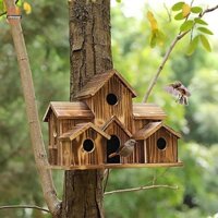 Ngôi nhà chim ruồi cho phòng bên ngoài cho tường sân sau