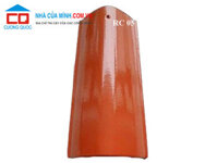 Ngói rìa phụ kiện ngói 1 vít CMC RC 05