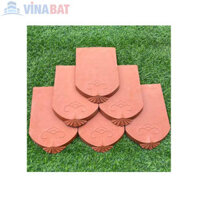 Ngói sò cổ mũi hài giếng đáy Hạ Long