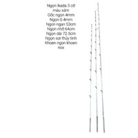 Ngọn cần IKADA 3 cỡ gốc 4.0mm - màu xám