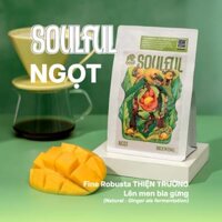 "NGỌT" BREWING - CÀ THIỆN TRƯỜNG - NATURAL GINGER BEER FERMENTATION | SOULFUL 2025 I VIETNAM FINE ROBUSTA