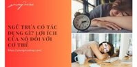 Ngủ trưa có tác dụng gì? Lợi ích của nó đối với cơ thể