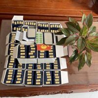 Ngựa Cường Dương Chính Hãng Thái Lan 7000mg