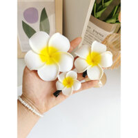 Người Đài hóa trang đi biển nghỉ mát Kẹp tóc hoa trứng kẹp tóc chụp ảnh du lịch kẹp bên hoa cài tóc nhỏ tiên nữ
