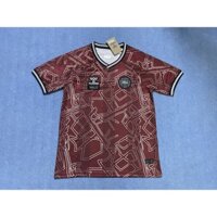 Người hâm mộ: 24 / 25 Đan Mạch Phiên bản đặc biệt Áo khoác bóng đá thông thường phiên bản Thái Lan AAA +