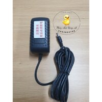 Nguồn 12V sạc pin dành cho máy vặt lông vịt cầm tay dùng chung cho máy Trung Quốc và Việt Nam