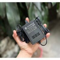 Nguồn AC 24V 1000mA xoay chiều chính hãng