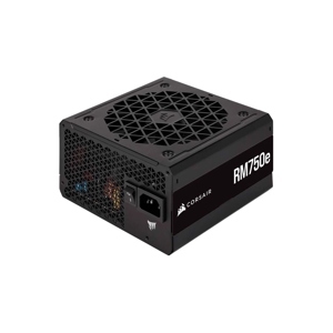 Nguồn Corsair RM1000E 80 Plus Gold