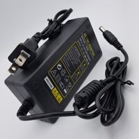 Nguồn Của Led Dây 12V-5A