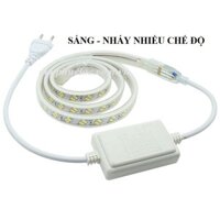 Nguồn dây led 5730-3 chế độ- KÈM GHIM ĐỒNG -nguồn dây led 3 màu